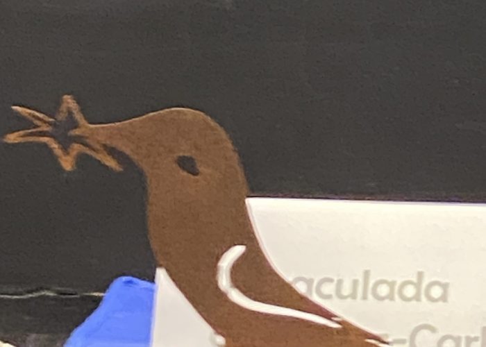 20250401_161904234_iOS