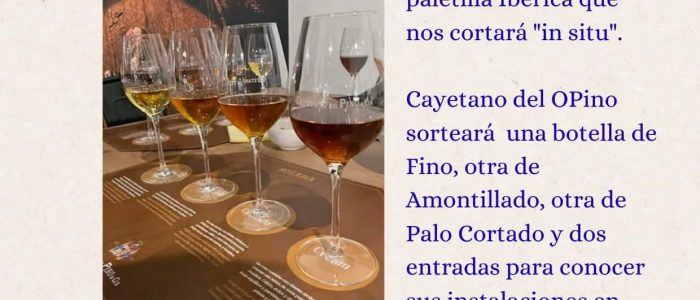 Cata sevilla 26-2-2025